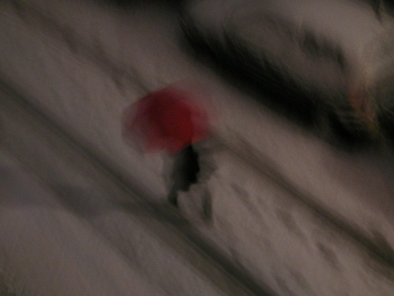 Маша Яновская | Санкт-Петербург