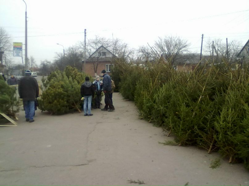 Олег Фірман | Владимир-Волынский