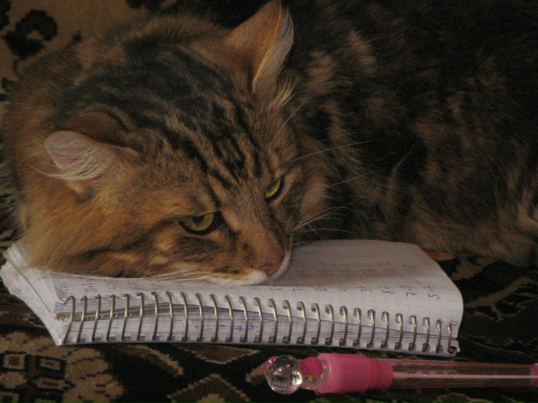 Наталья Шумляс | Киев