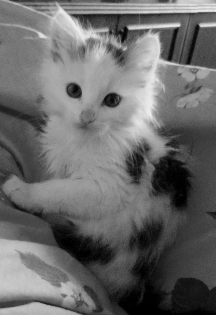 Елена Костенко | Москва