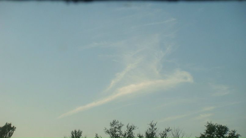 Лилиана Воробьёва | Кириши