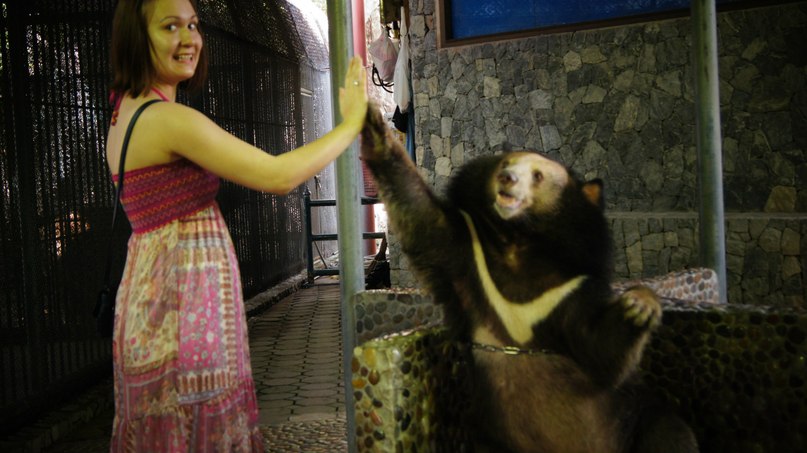 Татьяна Потапкина | 