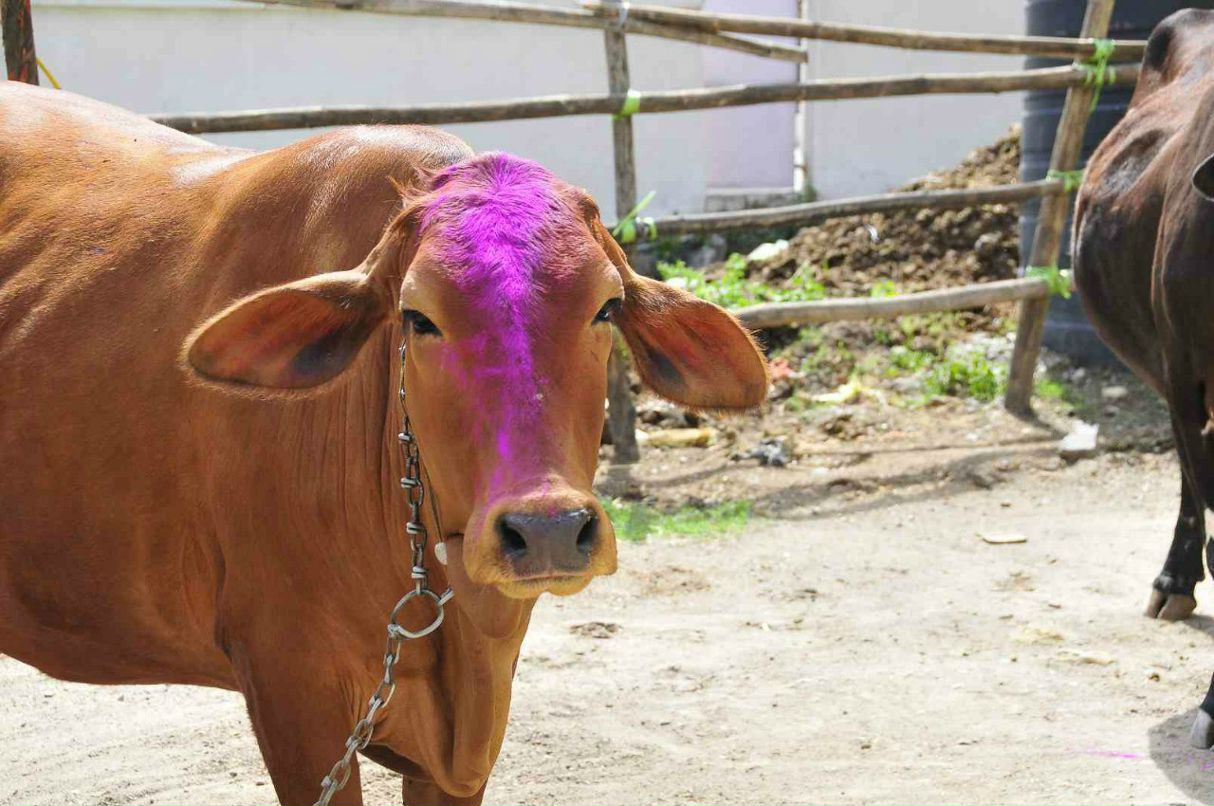 Олег Доманов | Кемерово