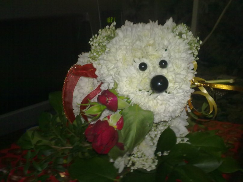 Мария Горбачева | Архангельск