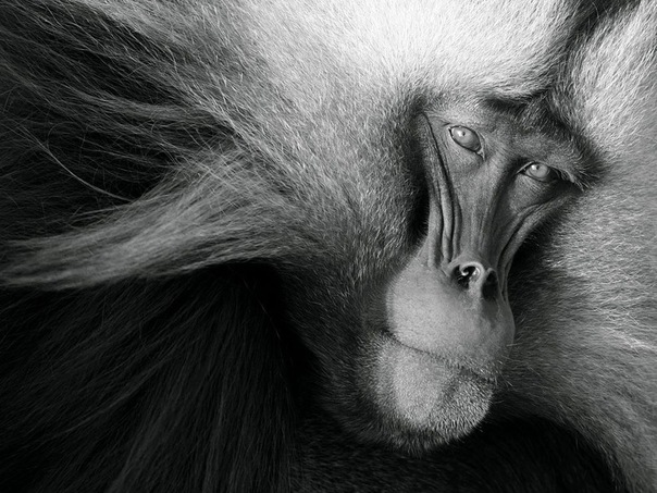 №32, Павел Гриценко, 39 лет, Москва №32, Павел Гриценко, 39 лет, Москва