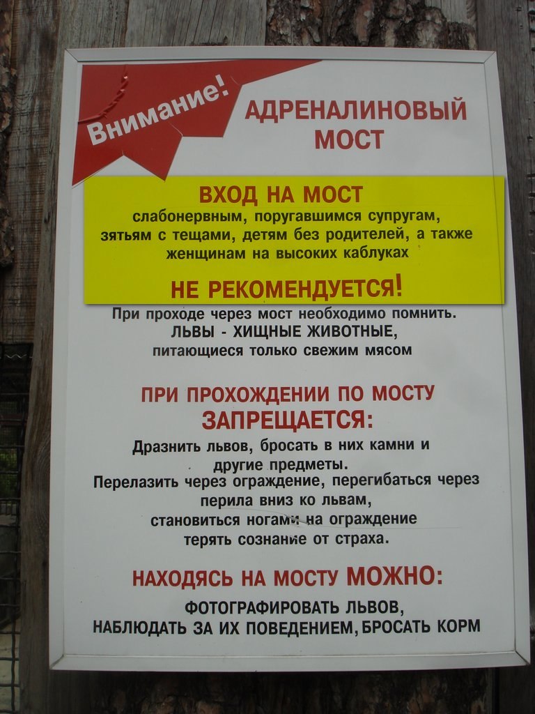 Игорь Ткаченко | Новороссийск