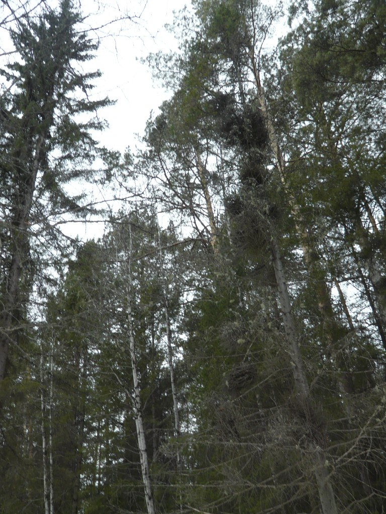 Юра Ясмарса | Самара