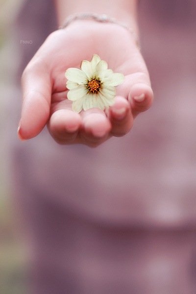 №8, Татьяна Глодина №8, Татьяна Глодина