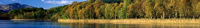 №71, Орест Лазуркевич, 27 лет, Львов №71, Орест Лазуркевич, 27 лет, Львов
