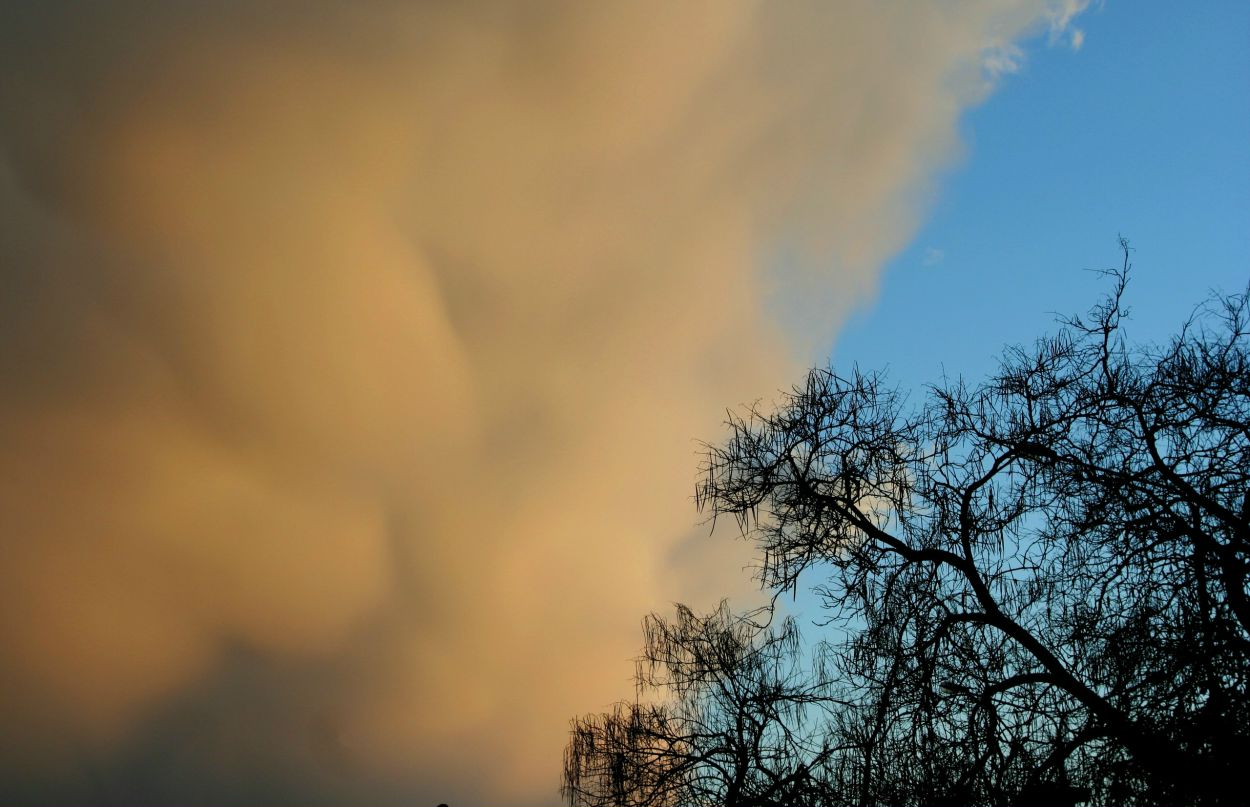 Роман Смирнов SENEGAL 23 | Туапсе