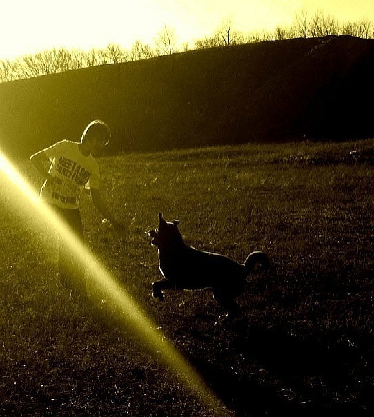 Назар Колотило фото профиля #2