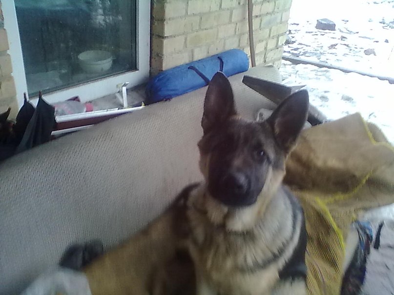 Сергей Якименко | Малая Солтановка