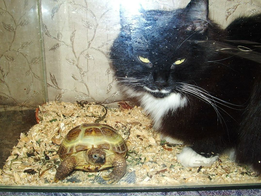 Владимир Барковский | Санкт-Петербург