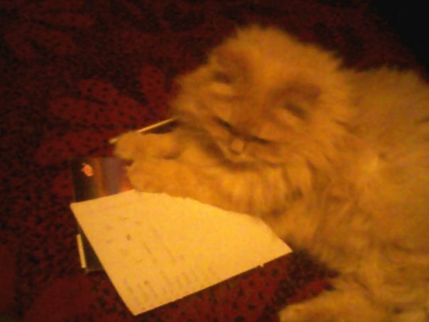 Анека Котеленец ●•٠Vanilla Sky٠•● | Запорожье