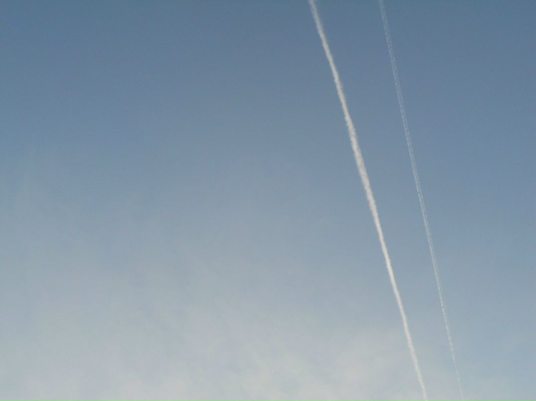 Оксана Грабас | Львов