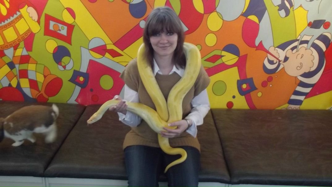 №51, Виктория Звягинцева, 39 лет, Москва №51, Виктория Звягинцева, 39 лет, Москва