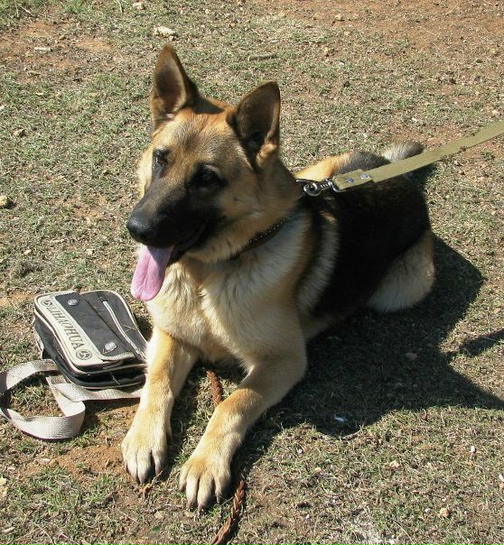 №94, Руслан Гордеев, Львов №94, Руслан Гордеев, Львов