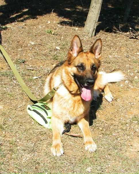 №42, Руслан Гордеев, Львов №42, Руслан Гордеев, Львов