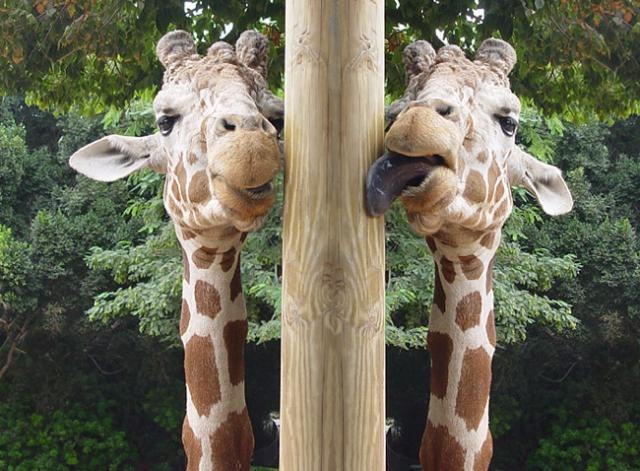 Михаил Ионов | Донской