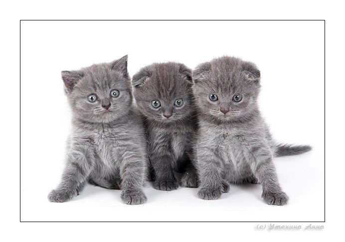 Христина Драганчук | Тернополь