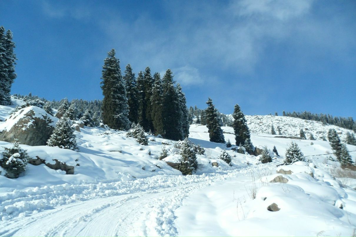 Роман Лебедко | Челябинск