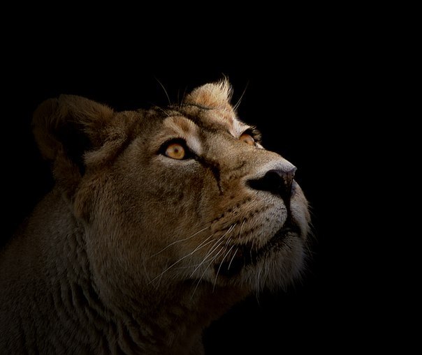 №58, Иван Судаков, 31 год, Москва №58, Иван Судаков, 31 год, Москва