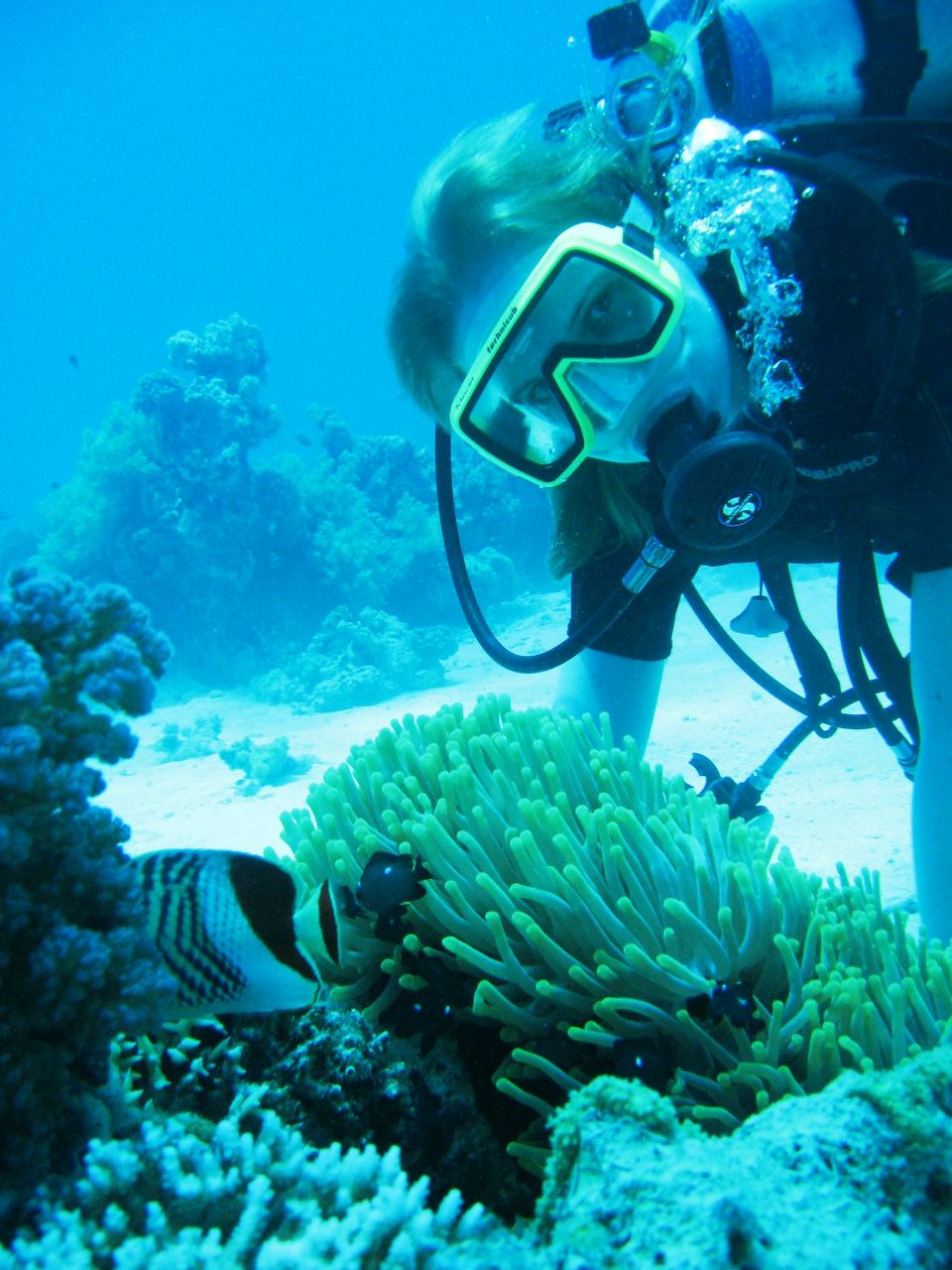 Анна Злотницкая | Екатеринбург