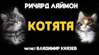 Аудиокнига: Ричард Лаймон Котята. Читает Владимир Князев. Ужасы, сплаттерпанк, хоррор