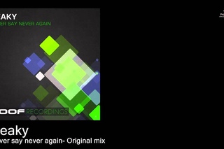 Reaky - Never say never again- Original mix