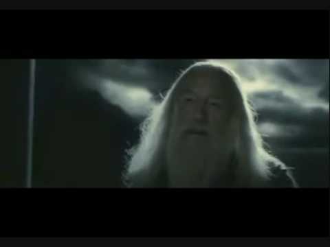 Harry Potter Death Scenes Avada
