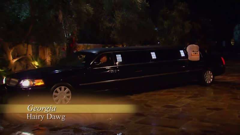 College Football Mascots have arrived at Bachelor Mansion,