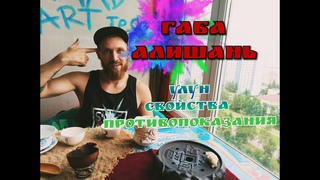 Как заваривать чай Габа Алишань Улун. Свойства и Противопоказания Пьëм чай с Mad Art и рассуждаем!