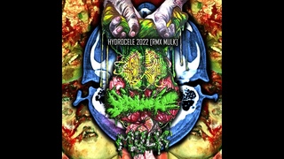 HYDROCELE - 2022 RMX MULK