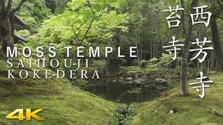 [4K] 西芳寺 苔寺・京都　MOSS TEMPLE / SAIHOU-JI KOKE-DERA / KYOTO /JAPAN