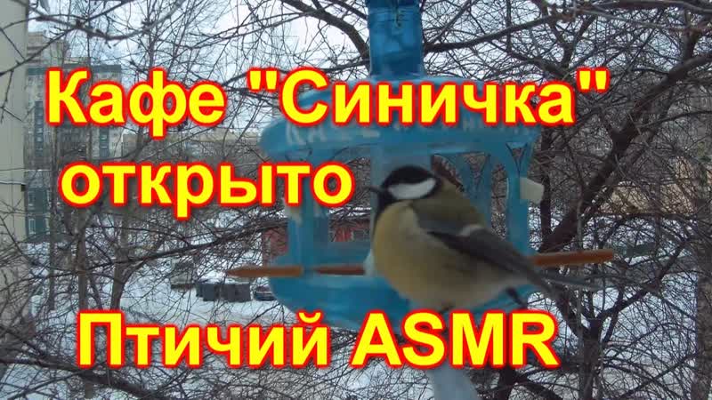 Кормушка для птиц в работе Птичий ASМ