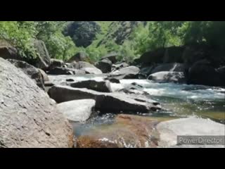 Жамиля