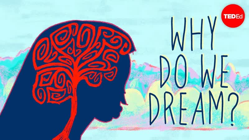 Why do we dream Amy