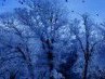Катерина Шашкина | Рязань