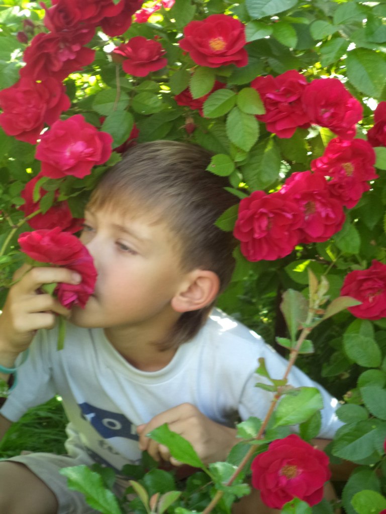 Екатерина Жаркова | Санкт-Петербург