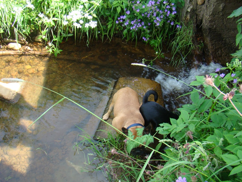 Наталья Щербакова-Смоляк | Санкт-Петербург