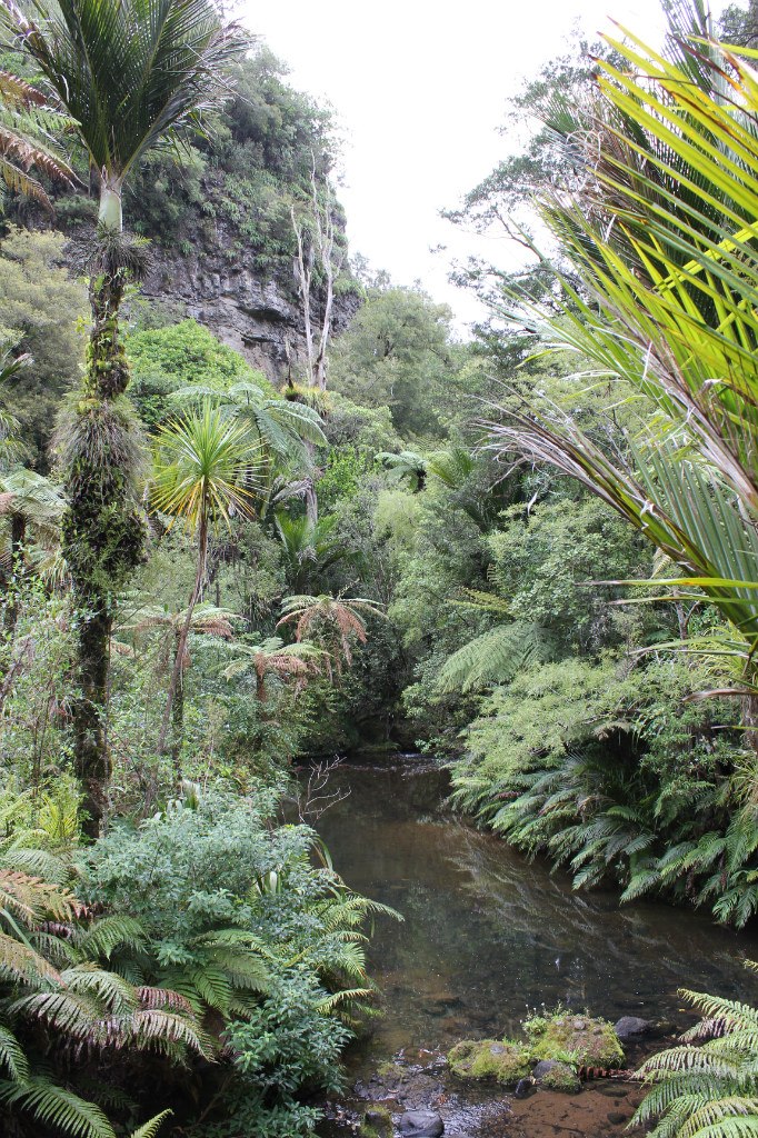 Данил Таценко | Челябинск