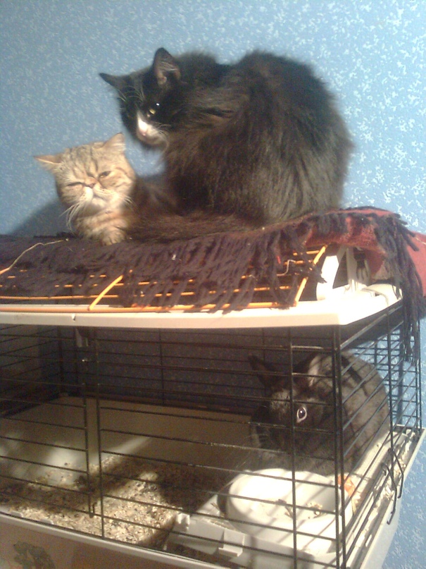 Сергей Овчинников | Ярославль