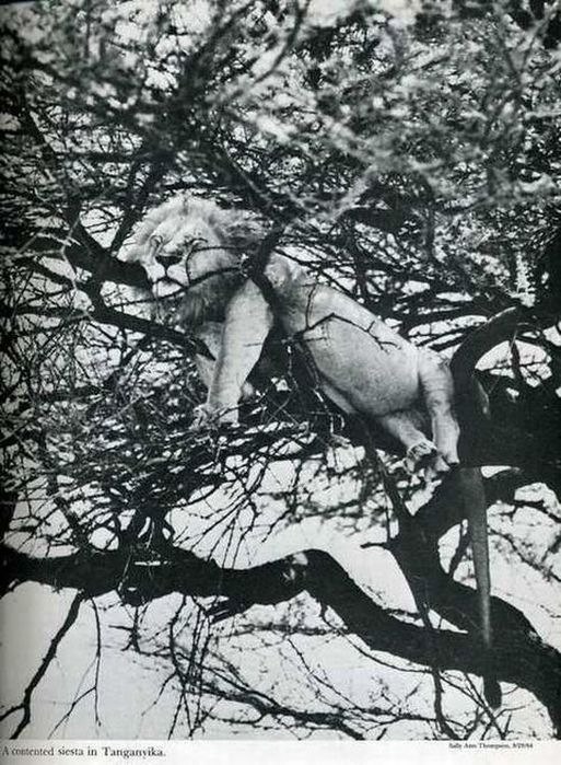 Сергей Носков Вадимович | Пермь