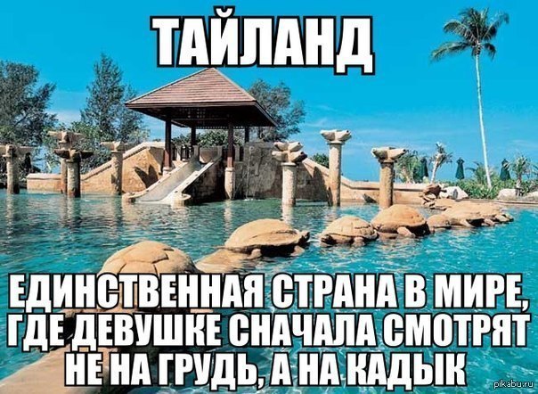 Приколы в тайланде Приколы в тайланде