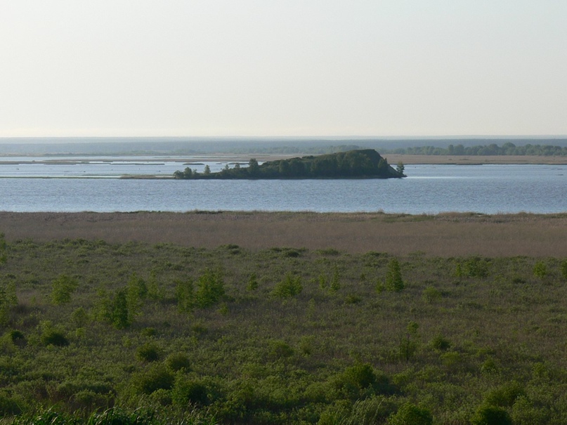 Виктория Приходько