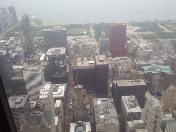 Artem Nikitin | Orlando