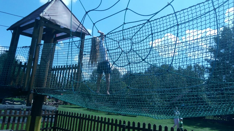 Лена Медведева | Столбцы