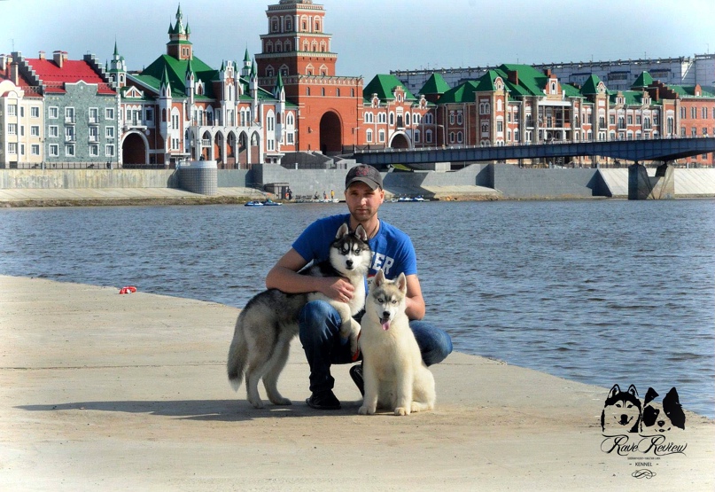 Роман Касьянов | Йошкар-Ола