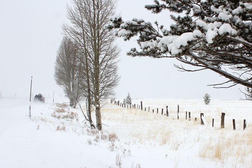 Агния Донзо | Москва