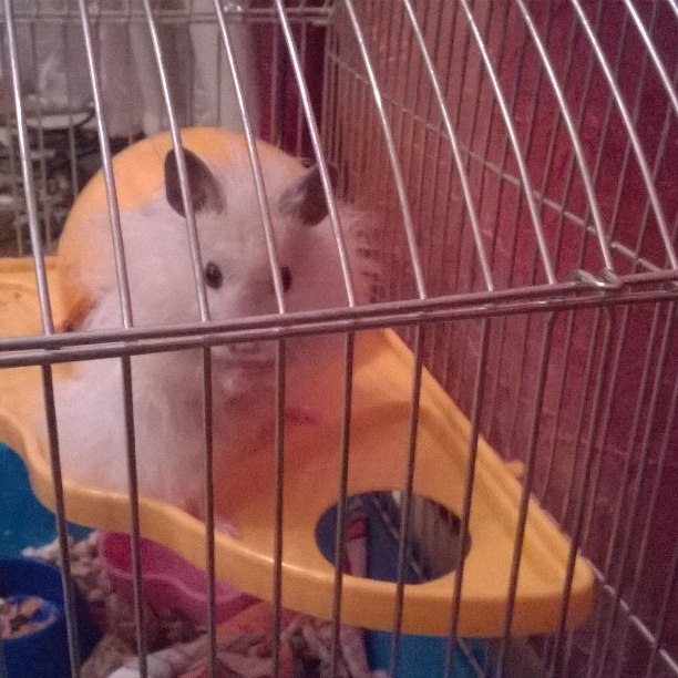 Юлия Викторовна | Протвино